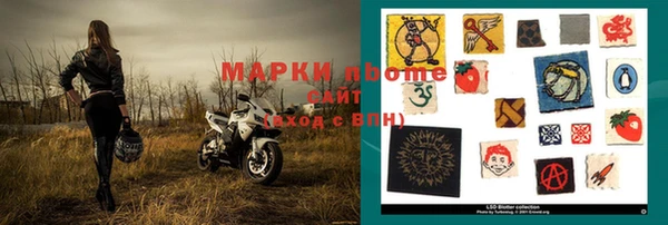 ПСИЛОЦИБИНОВЫЕ ГРИБЫ Бородино