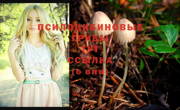 ешки Вязьма