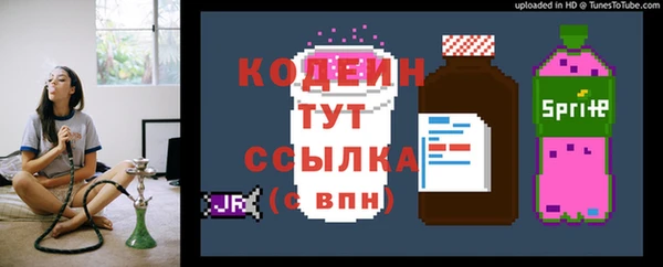ешки Вязьма