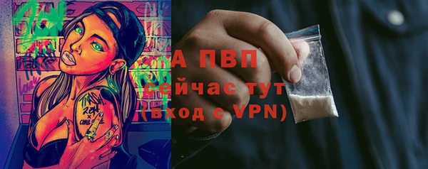 ешки Вязьма